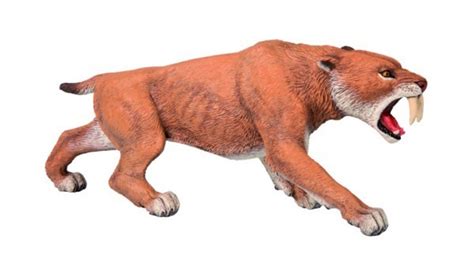 Woolly Rhino by Papo - Dan's Dinosaurs