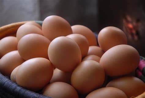 Los Huevos