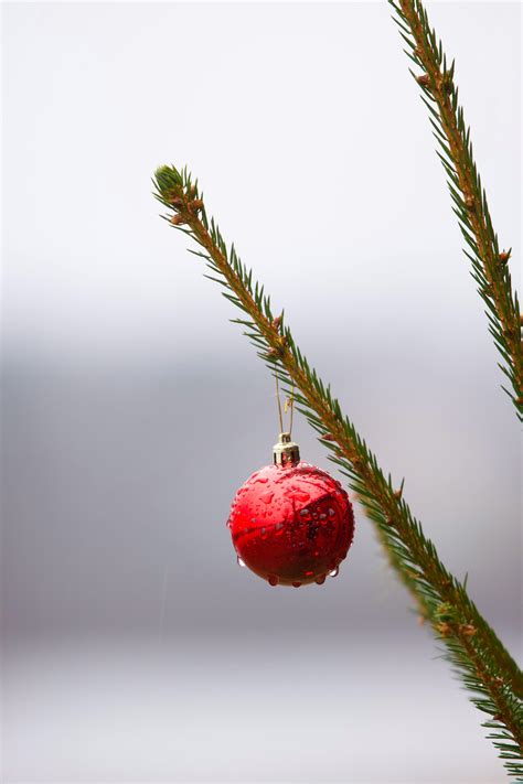 Sophie+Raine+Bikini Photos, Download The BEST Free Sophie+Raine+Bikini