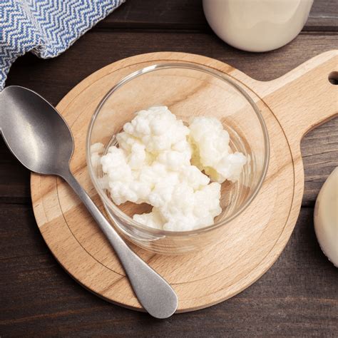 Organic Milk Kefir Grains | UKAS Lab Tested | EC Health Mark
