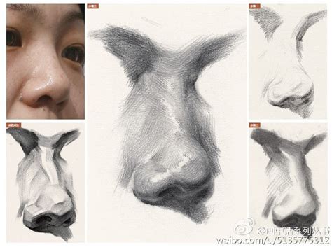 Учебник цифрового рисунка | Anatomy art, Portrait art, Art drawings