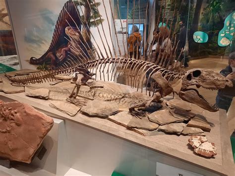 10 Famous Mineral Museums » Geology Science