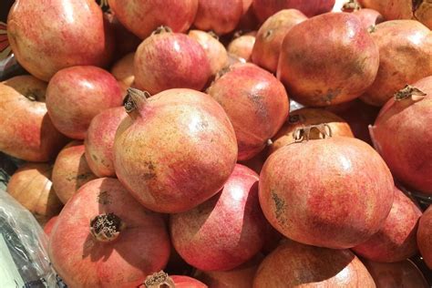 Можно ли есть гранат с косточками