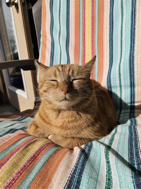 He's trying to telepathically communicate through solar rays : r