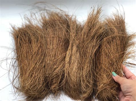 coco bristle indonesia coco peat coconut peat coco fiber coconut