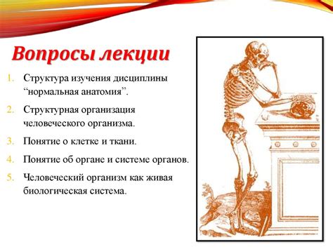Строение человеческого организма - презентация онлайн