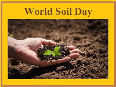world soil day celebration  december   soil alive protect