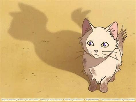 The cat returns neko no ongaeshi gif by maudit – Artofit