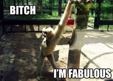 Fabulous Animals - 13 Pics