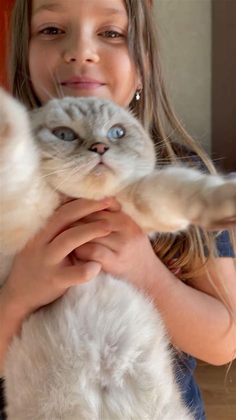 Лапка 🐾