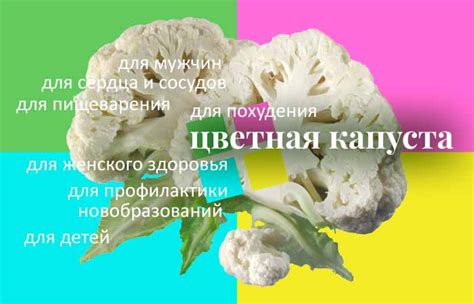 Цветная капуста. Польза и вред для здоровья