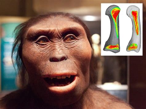 Anthropology | Archaeology News Online Magazine