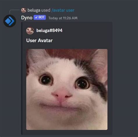How to Use Dyno Discord Bot [Dyno Bot Commands] | CyberITHub
