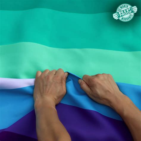 Amazon.com : Anley Rip-Proof Double Sided 3-Ply MLM Vincian Pride Flag