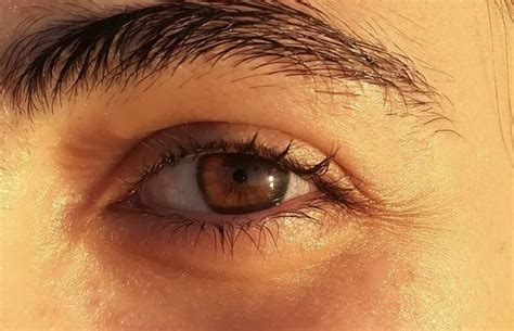 𝐨𝐝𝐞𝐥𝐢𝐚 | Brown eyes aesthetic, Brown eyes facts, Brown eyes tumblr