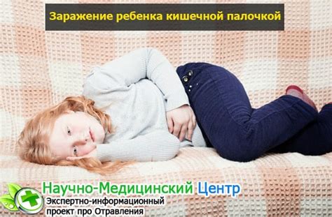 Кишечная палочка — симптомы и методы лечения, диагностика, полезные ...