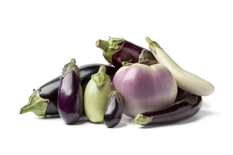 Les aubergines - En savoir plus sur l'aubergine, ses variétés et son ...