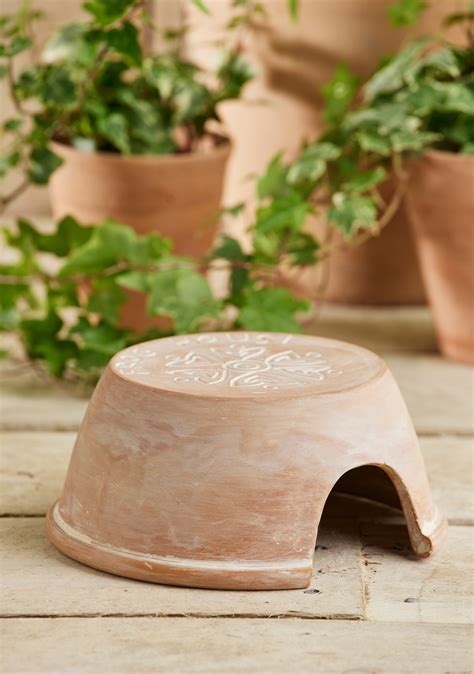 is it normal frog smelly at home 3