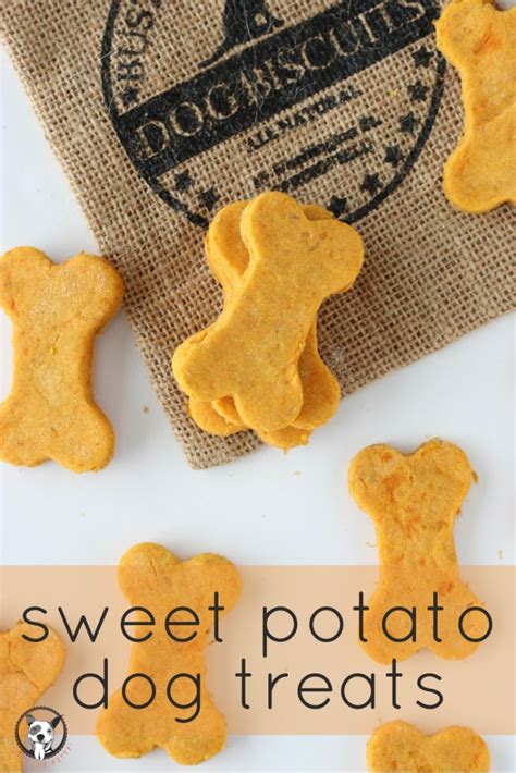 Sweet Potato Dog Treats | Recipe | Sweet potatoes for dogs, Dog biscuit ...