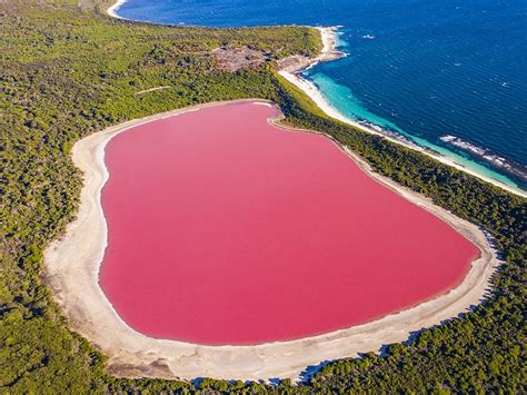 Pink lake aerial view on middle island surrounded blue ocean. Stark ...