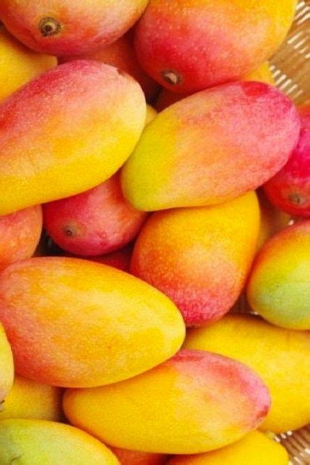 Pin by СТЕЛЛА ЛАНЕВСКАЯ on ЯГОДЫ - ФРУКТЫ | Food photography fruit ...