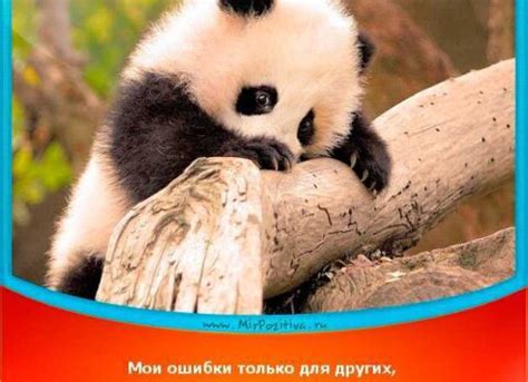 Комплименты маме