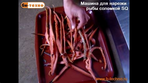 Машина для нарезки рыбы соломкой (полосками) MC/SQ - YouTube