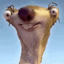 sid  sloth gifs tenor