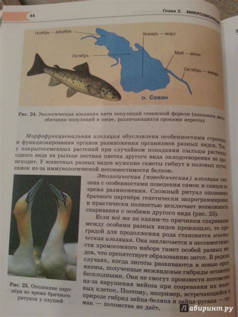 Книга: Биология. Биологические системы и процессы. 11 класс. Учебник ...