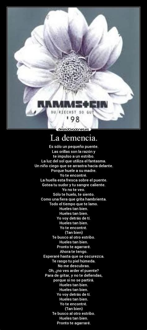 Imágenes y Carteles de RIECHST | Desmotivaciones
