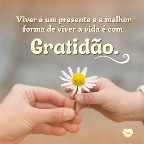 Mensagem Sobre Gratidao - 25 Mensagens inspiradoras sobre viver a vida com gratidão e amor