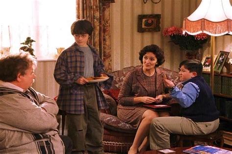 The Dursleys Harry Potter