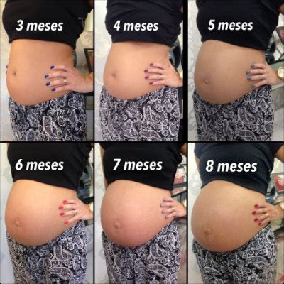 Barriga Começa A Crescer Com Quantos Meses - Evolução da barriga | BabyCenter