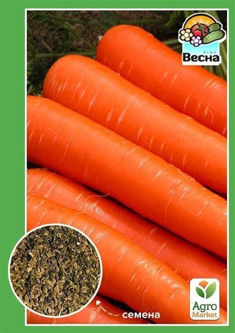 Морковь "Зимний нектар" (Новый пакет) ТМ "Весна" 2г купить почтой в ...