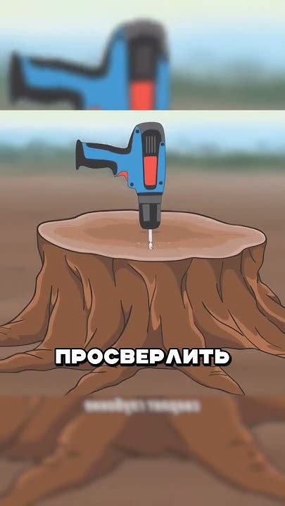 Как бесплатно убрать деревья с участка - YouTube