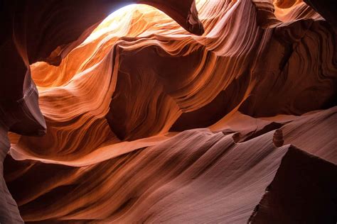 Geology and Paleontology - ZME Science