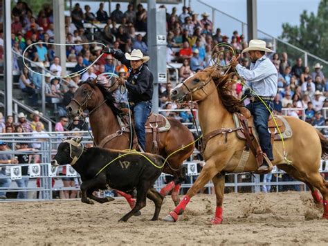 Rodeo