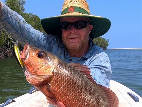Mangrove Jack research calls on NT fishos’ support, donations | Herald Sun