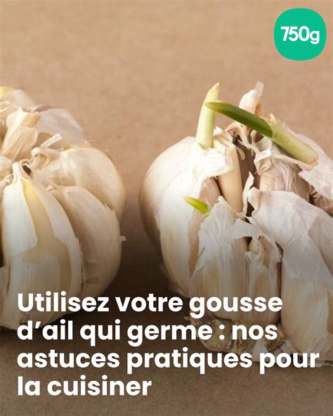 Faut Il Peler La Gousse D'ail Sous L'oreiller 5