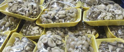 Грибы оптом – купить свежие и замороженные грибы в продовольственном ...