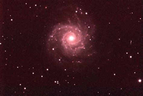 M74