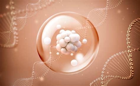 The basic ingredients of Retinoic Acid Lyphar Offers Free Samples