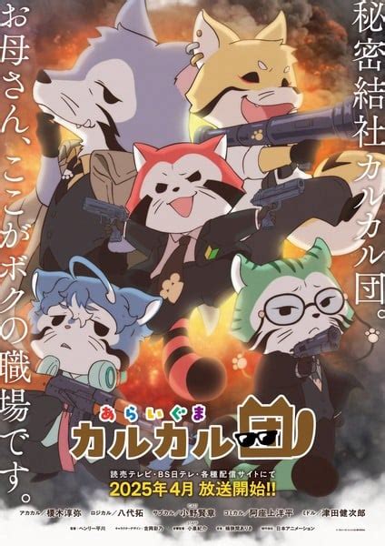 Araiguma Calcal-dan Anime Reveals Visual, Story, Characters, April TV