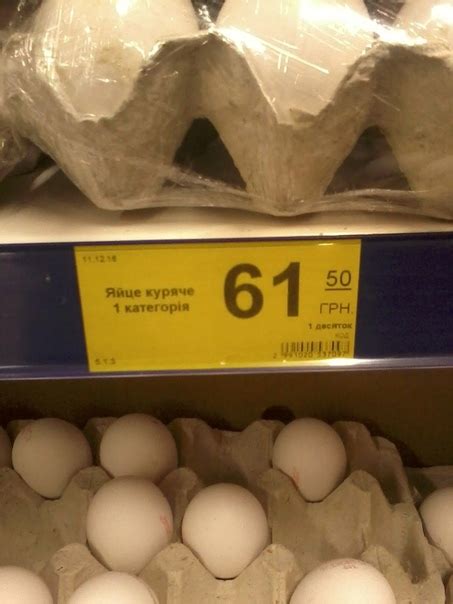 Сколько стоит 1 яйцо человеческое: Сколько стоит мужское яичко ...