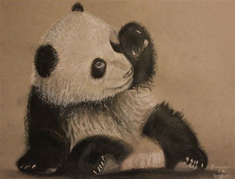 Panda Drawing Realistic: A Step-by-Step Guide