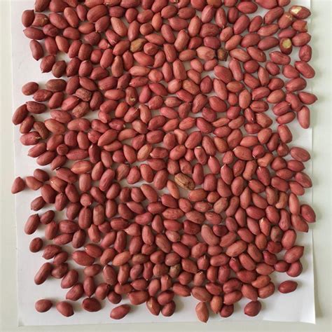 Арахис очищенный в шелухе 40/50 • Samarkand Motrid Dry Fruits