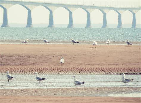 Directory of Funeral Services in Kinkora, Prince Edward Island 23