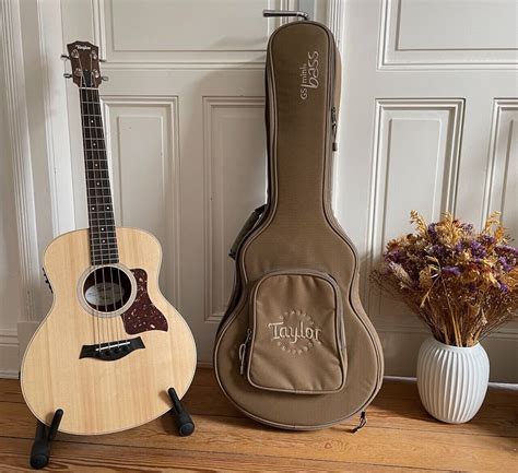 Akustik Bass Test Vergleich +++ Akustik Bass günstig kaufen!