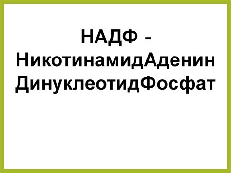Фотосинтез. Фазы фотосинтеза - презентация онлайн