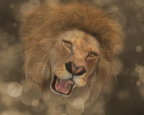 Download Lion, Head, Mane. Royalty-Free Stock Illustration Image - Pixabay